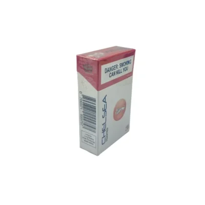 Minimalist and Fashionable Cigarette Box Minimalist and Fashionable Cigarette Box